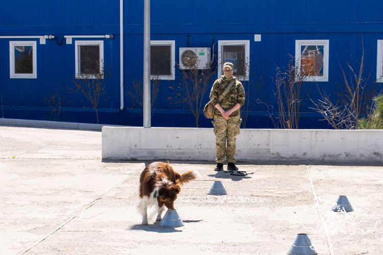 ОМОН «Беркут» распахнул свои двери для крымских школьников
