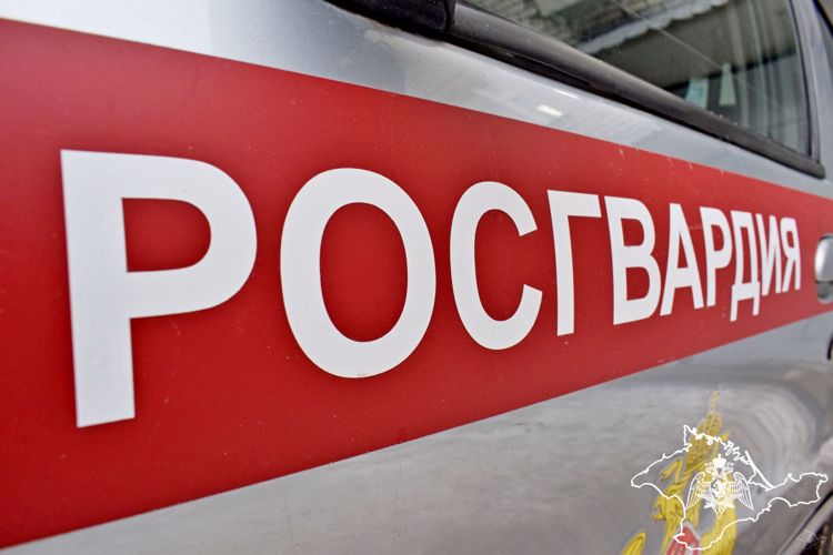 Ряд правонарушений пресекла Росгвардия в Крыму и Севастополе