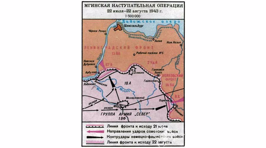 Мгинская наступательная операция