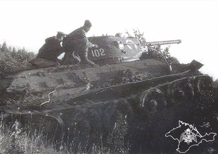 Мгинская наступательная операция