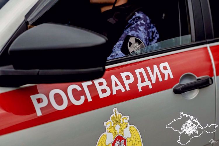 Ряд правонарушений пресекли росгвардейцы на минувшей неделе в Крыму и Севастополе