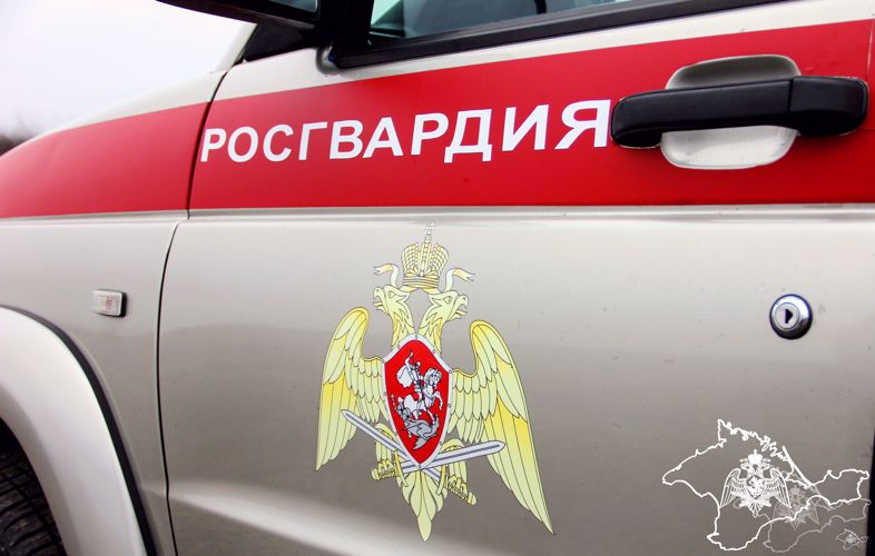 Росгвардейцы пресекли ряд правонарушений в Крыму и Севастополе 