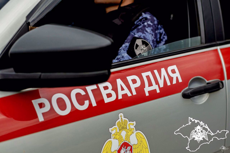 Росгвардейцы в Крыму и Севастополе за неделю пресекли ряд правонарушений