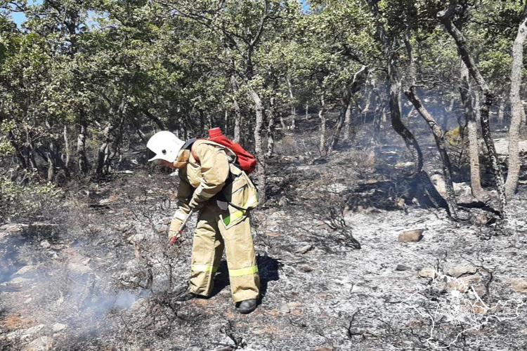 Военнослужащие Росгвардии в Крыму приняли участие в тушении пожара