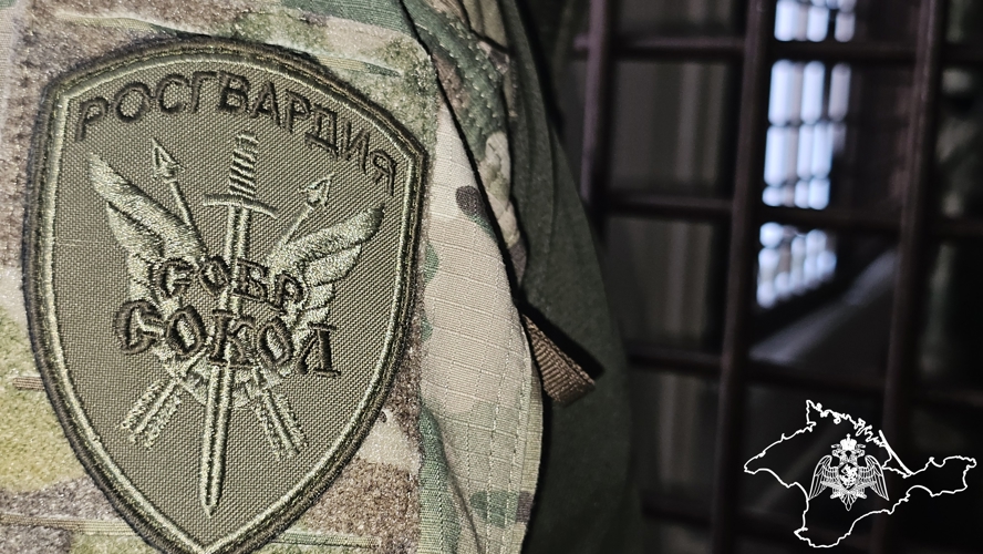 Подозреваемого в преступлениях против половой неприкосновенности задержали при содействии Росгвардии в Севастополе