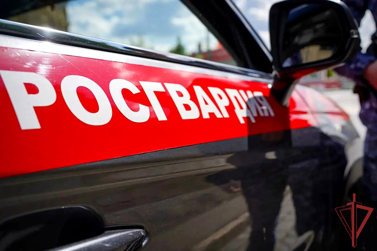 В Симферополе росгвардейцы задержали подозреваемую в краже