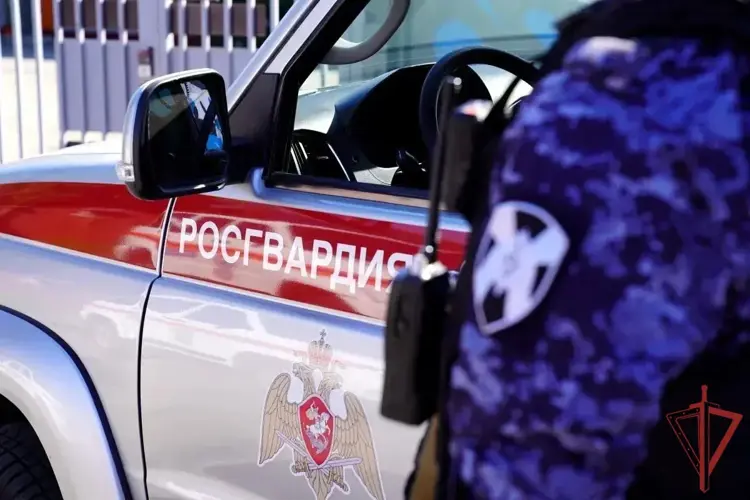 Росгвардейцы в Крыму и Севастополе за неделю пресекли ряд правонарушений