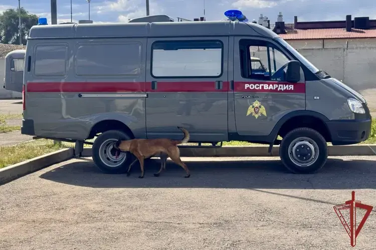 Кинологи Росгвардии из Крыма заняли призовые места на окружных соревнованиях
